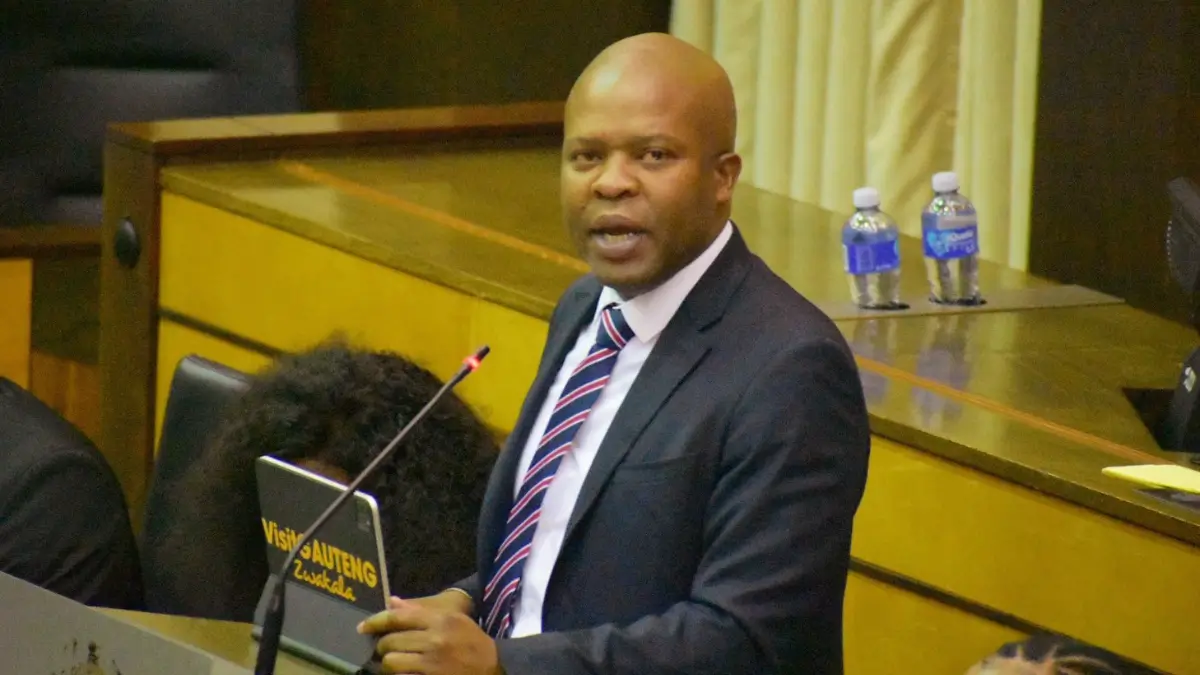 Gauteng Medium Term Budget Policy Statement 2024: Key Insights from MEC Lebogang Maile
