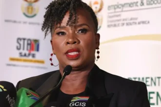 Labour Minister Defends Stance Amid Rising Graduate Unemployment Rate in South Africa