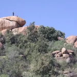 New Hiking Trail Opens at Melville Koppies: Explore Johannesburg's Latest Scenic Pathway