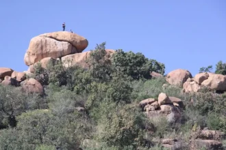 New Hiking Trail Opens at Melville Koppies: Explore Johannesburg's Latest Scenic Pathway