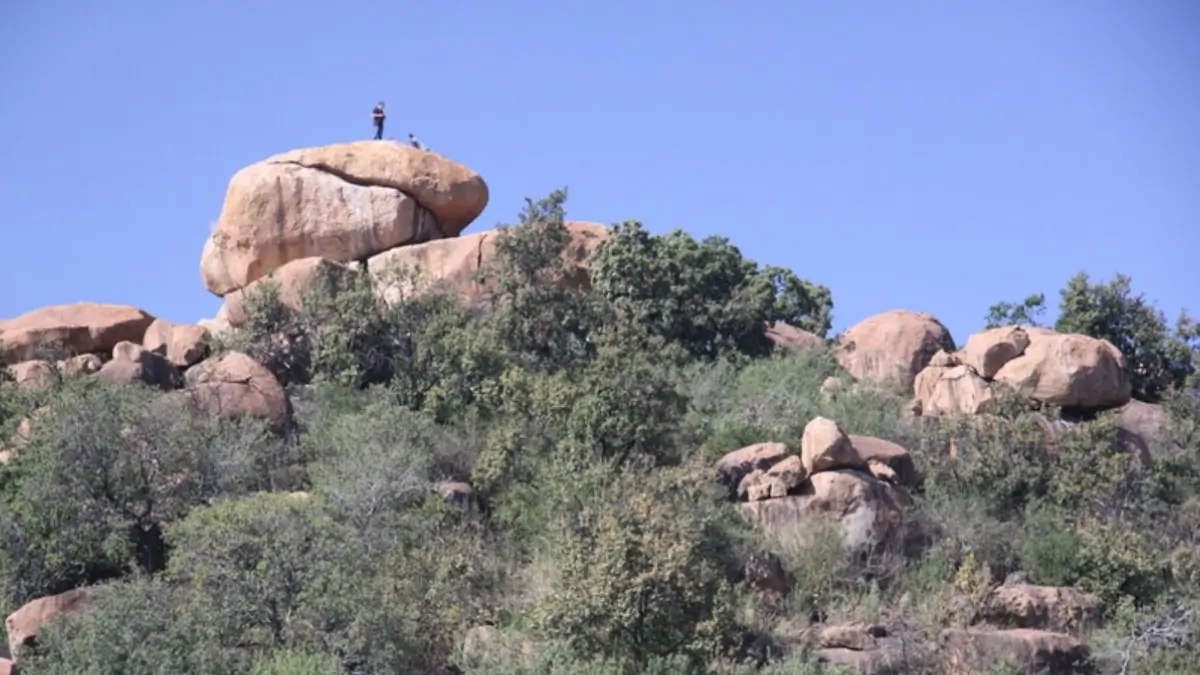 New Hiking Trail Opens at Melville Koppies: Explore Johannesburg's Latest Scenic Pathway