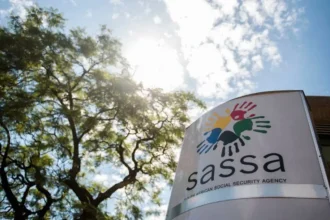new sassa office
