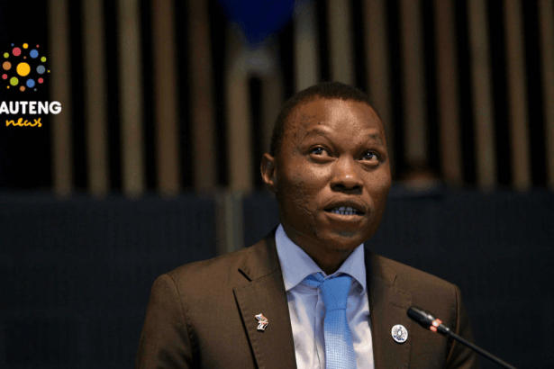 Former Joburg Mayor Gwamanda Demands Reinstatement