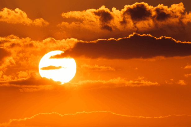 heatwave in South Africa