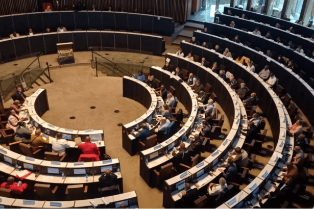 Joburg Councillors Approve Salary Hike Amid Chaotic Online Meeting and Service Delivery Criticism