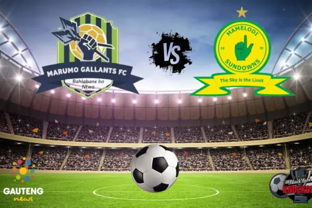 Marumo Gallants vs Mamelodi Sundowns - Predictions, Betting Odds, H2H