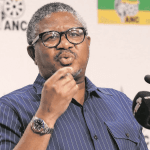 Renewal Challenges: ANC in KZN and Gauteng Pose Leadership Headaches for Mbalula
