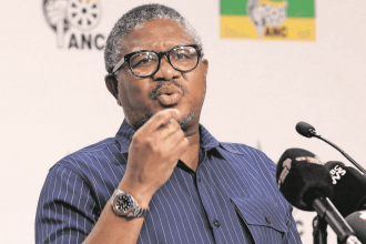 Renewal Challenges: ANC in KZN and Gauteng Pose Leadership Headaches for Mbalula