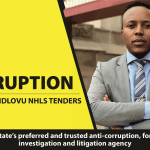 Covid-19 Tenderpreneur Hamilton Ndlovu Sentenced to 30 Days for Contempt of Court