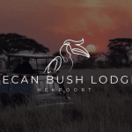 Pecan Bush Lodge Review: Ideal Festive Season Retreat or 2025 Bucket List Adventure?