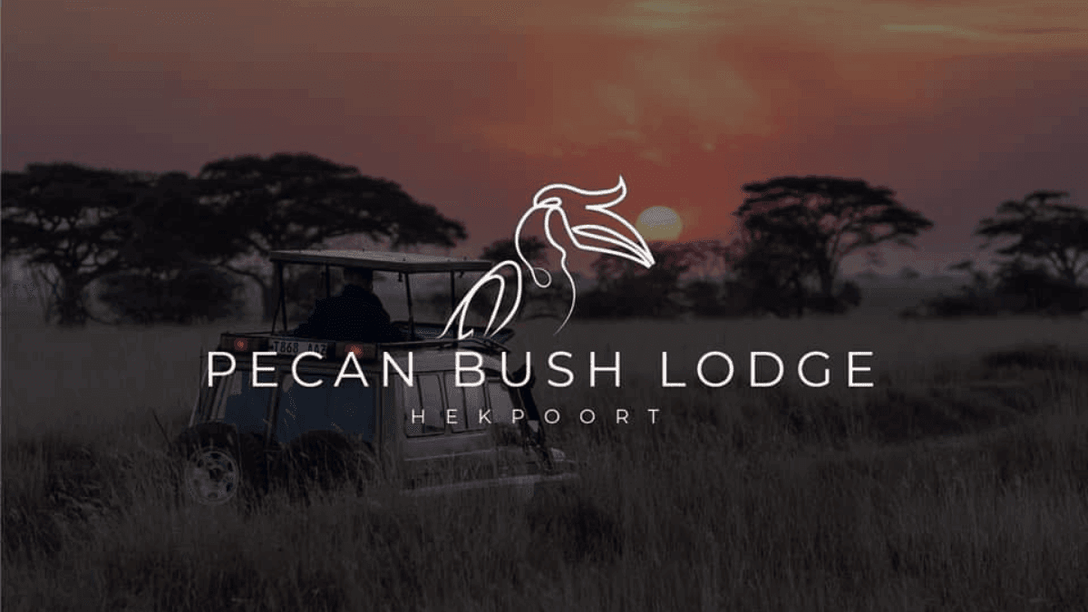Pecan Bush Lodge Review: Ideal Festive Season Retreat or 2025 Bucket List Adventure?