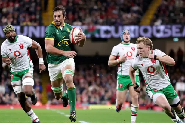 Wales vs South Africa: Springboks Seal Perfect Autumn Test Series with 45-12 Victory