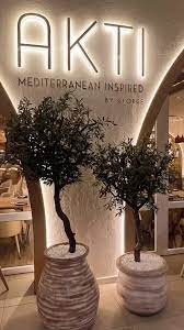 Akti Mediterranean Review: Authentic Mediterranean Flavors and Coastal Vibes