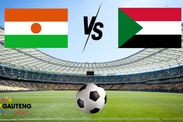 niger vs sudan