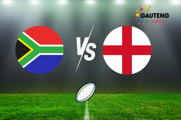 springboks vs england