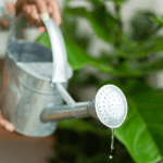 Joburg Water Restrictions: Daily Usage to Be Limited Amid Ongoing Water Crisis