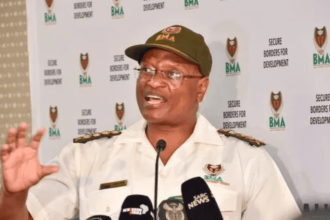 SA Border Guards Halt Over 400,000 Illegal Crossings Since July 2022: BMA Reports