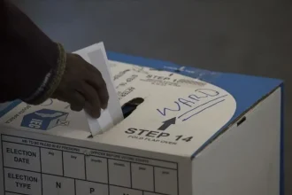 Zuma's Vote-Rigging Allegations: A Bid to Protect His Reputation?