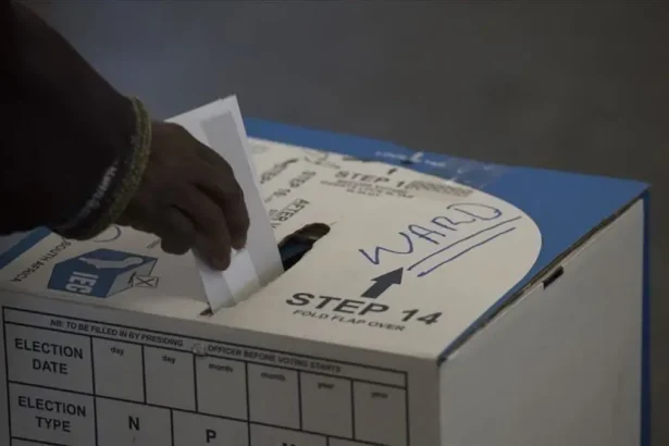 Zuma's Vote-Rigging Allegations: A Bid to Protect His Reputation?