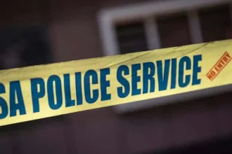 Gauteng department of education