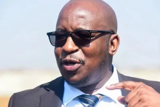 Gauteng Education Achieves Milestone: All Grade 1 Pupils with Completed Applications Placed