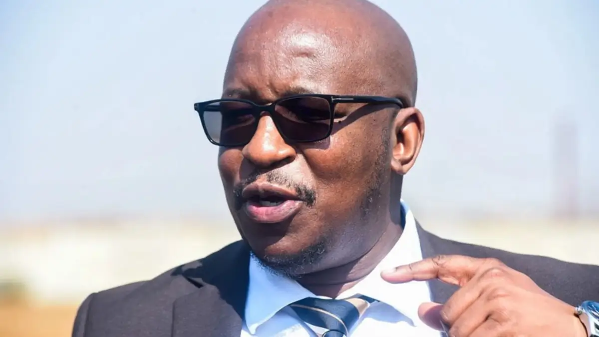 Gauteng Education Achieves Milestone: All Grade 1 Pupils with Completed Applications Placed