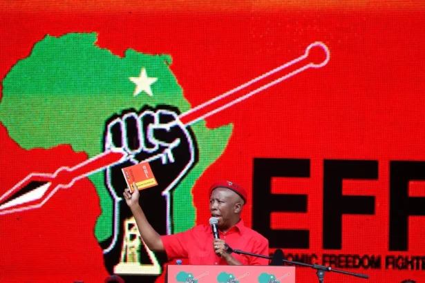 EFF Joins MK Party Anniversary Rally Amid Push for 'Black' Political Party Unity