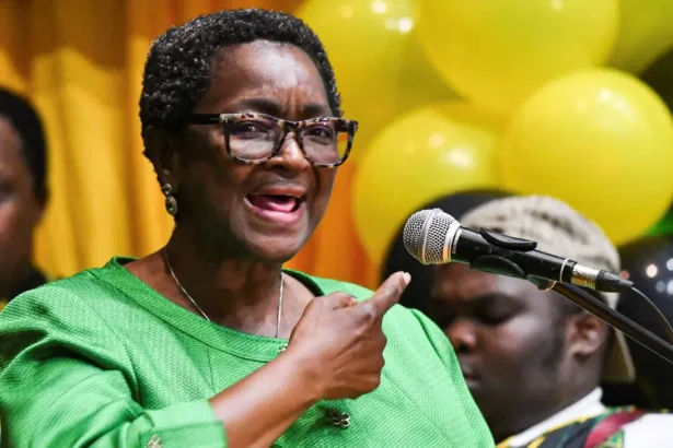 SCA Orders Bathabile Dlamini to Repay Over R2 Million to Sassa for Illegal Security Expenses