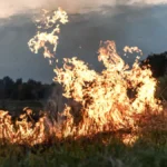 SA Weather Update: Heatwaves, Fire Risks, and Damaging Winds Across the Country