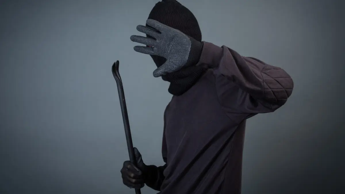 10 Items Criminals Are Targeting in South African Homes This Holiday Season – Stay Protected