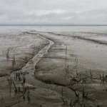 SA Weather Update: Flood Warnings for KZN and Fire Risks Across South Africa