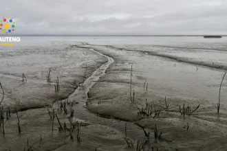 SA Weather Update: Flood Warnings for KZN and Fire Risks Across South Africa