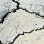 Earth Tremor Shakes Johannesburg: No Damage Reported Amid Recent Seismic Activity