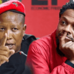 EFF’s Mbuyiseni Ndlozi Applauded for Emotional Intelligence Amid Malema's Criticism