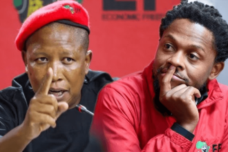 EFF’s Mbuyiseni Ndlozi Applauded for Emotional Intelligence Amid Malema's Criticism