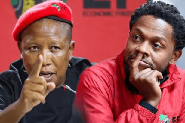 EFF’s Mbuyiseni Ndlozi Applauded for Emotional Intelligence Amid Malema's Criticism