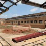 Gauteng Plans 20 New Schools by 2029, but Activists Call for Higher Targets