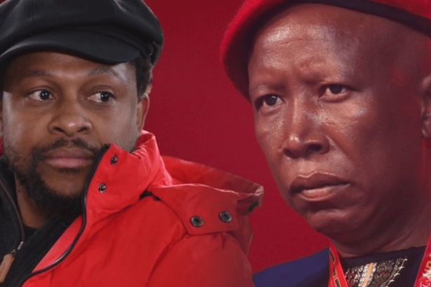 Ndlozi Defends Malema Amid EFF Turmoil: Rejects 'Biggest Loser' Claims
