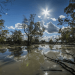 SA Weather: Cooler Weekend Ahead for Gauteng as Storms Subside After Flooding