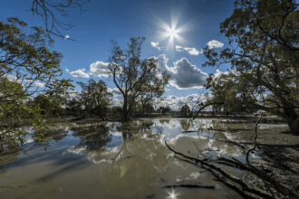 SA Weather: Cooler Weekend Ahead for Gauteng as Storms Subside After Flooding
