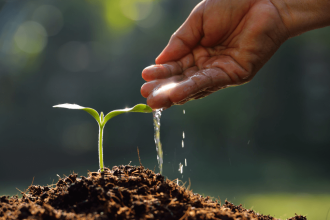 Joburg Level-1 Water Restrictions: Summer Reminder to Save Water