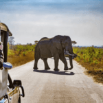 Top Day Trips from Johannesburg: Must-Visit Destinations Near the City