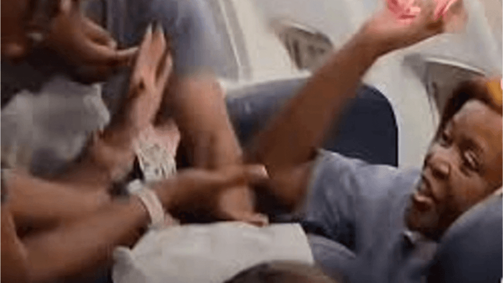 Patriotic Alliance to Report FlySafair Passenger Nobuntu Mkhize to SAHRC After Viral Video