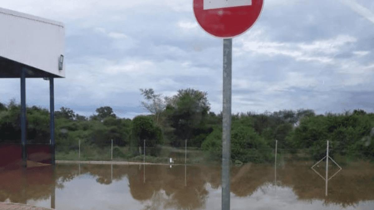 Grobler’s Bridge Port of Entry to Botswana Causes Temporary Suspension of Operations