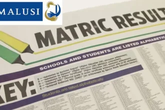 RECAP: Matric Results 2023 - Provincial