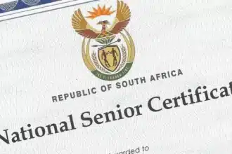 Outrage Over R100 'Leaked' 2024 Matric Results: Calls for DBE Explanation Skyrocket