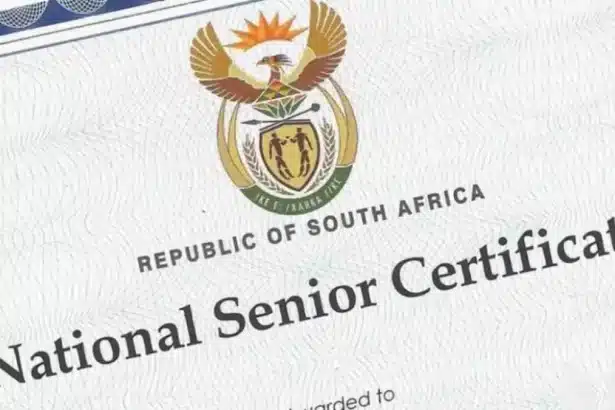 Outrage Over R100 'Leaked' 2024 Matric Results: Calls for DBE Explanation Skyrocket