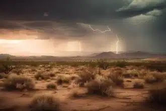 Today's Weather Alert: Severe Thunderstorms, Flooding, and High Fire Danger