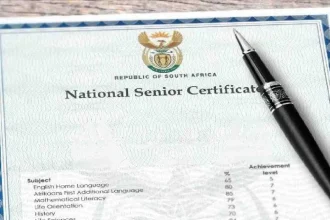 Gauteng Girls Outshine Boys in Matric Bachelor Passes, But Boys Lead in Maths and Science