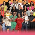 How to Vote for Big Brother Mzansi Season 5 Housemates: A Step-by-Step Guide